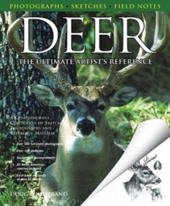 Deer_The_Ultimate_Artist_s_Reference_6