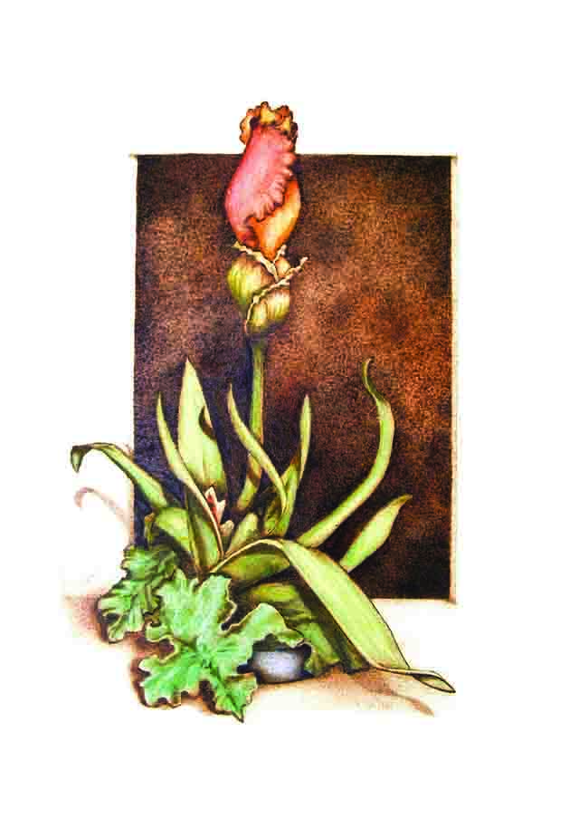 Color-Full Pyrography