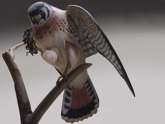 Burning Basics For Bird Carvers