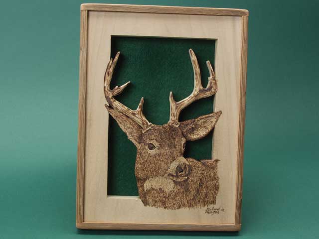 White-tailed Deer Portrait