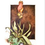 WEB-Color-Burn-Lead-s