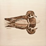 WEB-Reflection-Duck-Lead-s