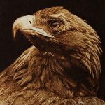 WEB-Tone_Focal-Point-s