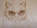 Woodburning Animal Eyes
