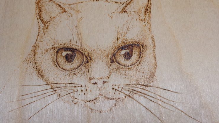 Woodburning Animal Eyes